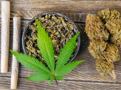 Cannabis Indica und medizinischer Hanf: Eine perfekte Kombination