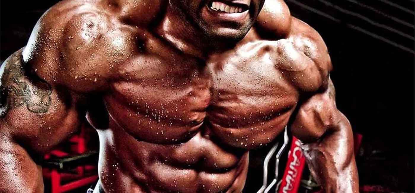 Testo Booster: Mehr Power für dein Training – Fatburnerking