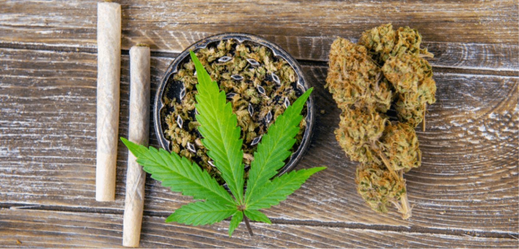 Cannabis Indica und medizinischer Hanf: Eine perfekte Kombination