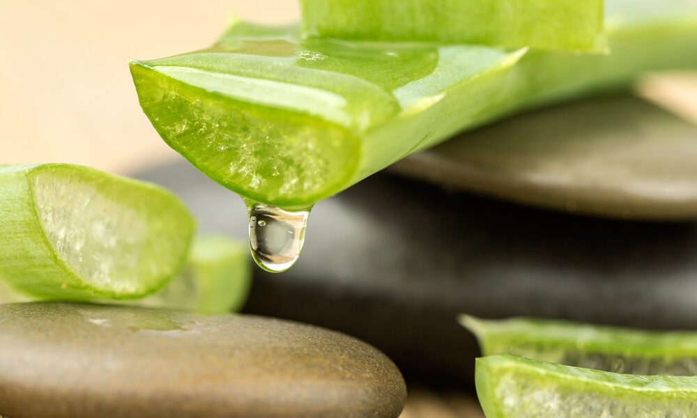 Die erfrischende Kraft von Forever Aloe Vera Gel: Natürliche Pflege für Haut und Körper
